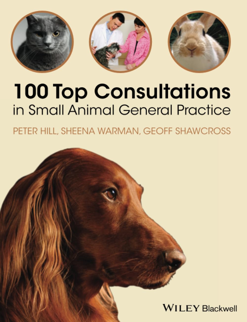 100 Top Consultations in Small Animal General Practice 1st Edition