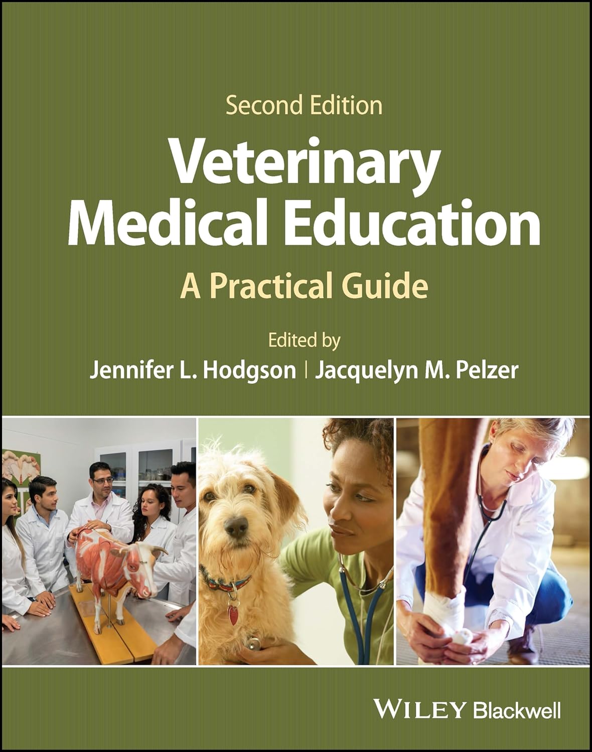 Veterinary Medical Education: A Practical Guide 2nd Edition