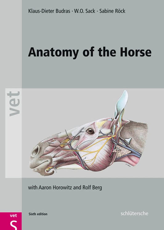 Anatomy of the Horse 6th edition