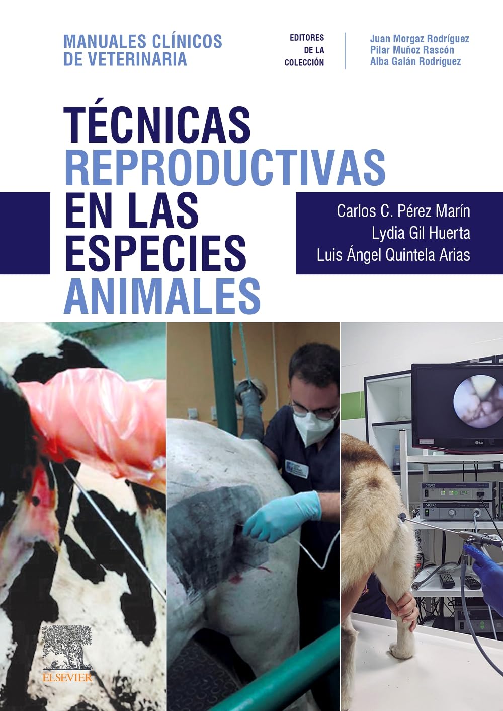 [2024] Técnicas reproductivas en las especies animales: Manuales clínicos de Veterinaria