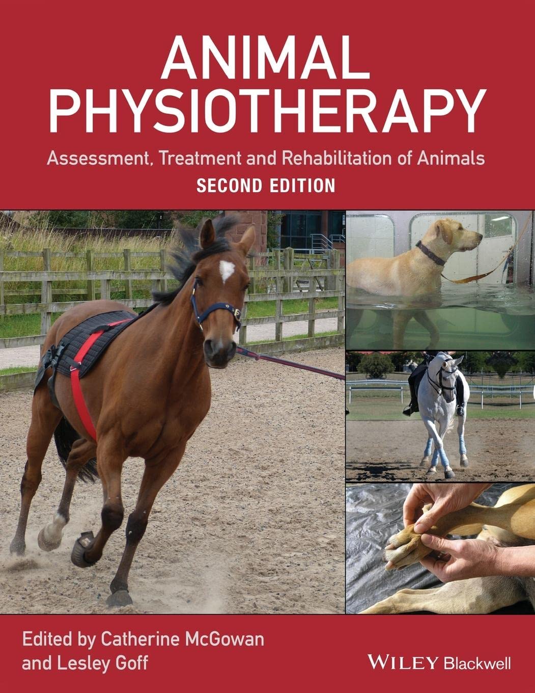 Animal Physiotherapy: Assessment, Treatment and Rehabilitation of Animals 2nd Edition