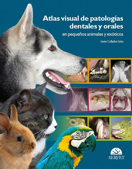 Atlas visual de patologías dentales y orales en pequeños animales y exóticos