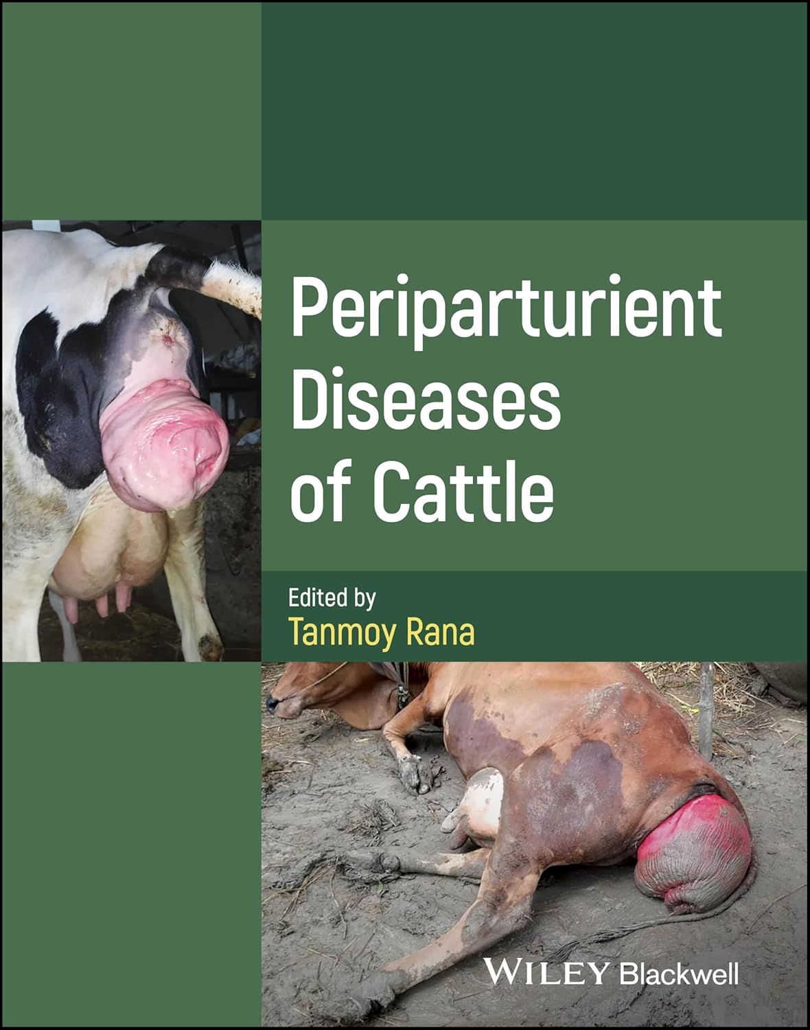 Periparturient Diseases of Cattle 1st Edition