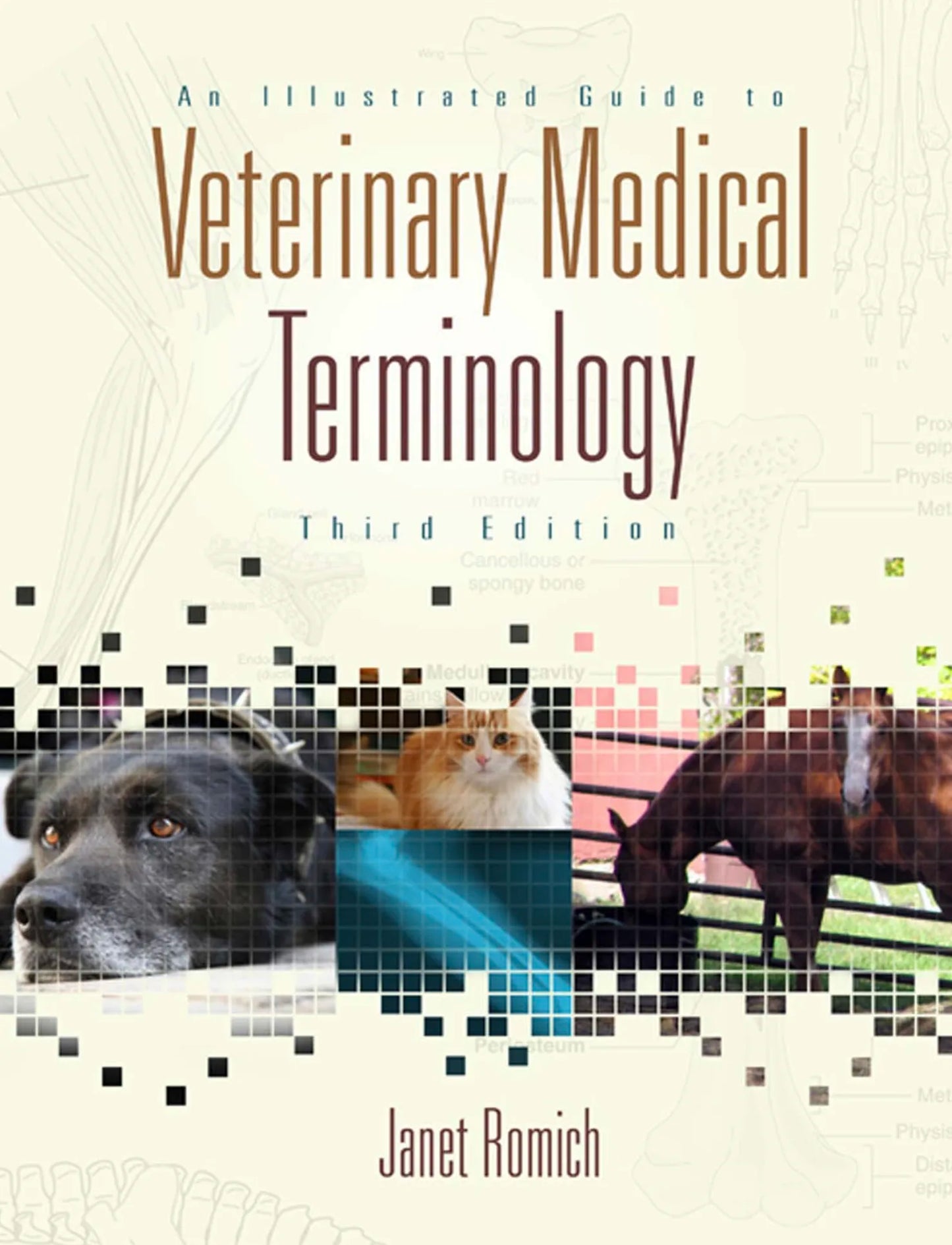 An Illustrated Guide to Veterinary Medical Terminology 3th (third) edition
