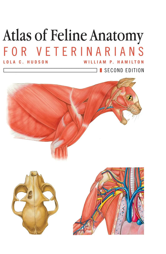 Atlas of Feline Anatomy For Veterinarians: For Veterinarians 2nd Edition